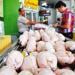 بازار مرغ در مسیر تعادل؛ کاهش جوجه‌ریزی و صادرات مدیریت‌شده در دستور کار