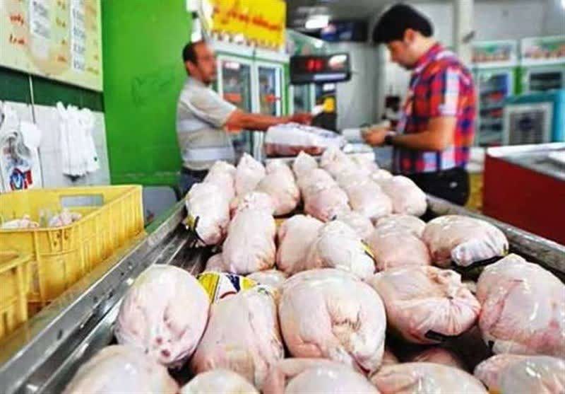 بازار مرغ در مسیر تعادل؛ کاهش جوجه‌ریزی و صادرات مدیریت‌شده در دستور کار